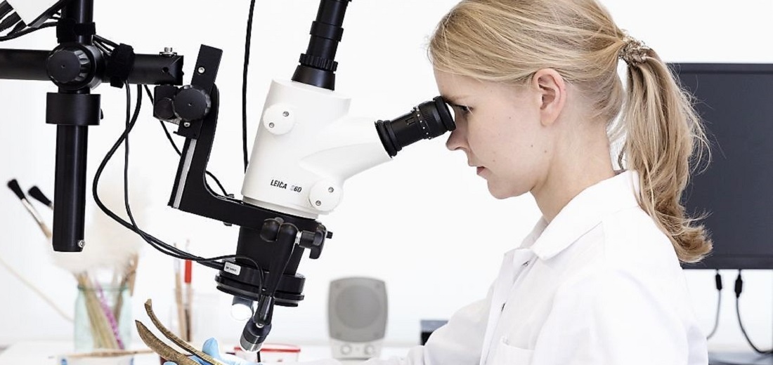 Kuva:Suomen Kansallismuseo konservointi