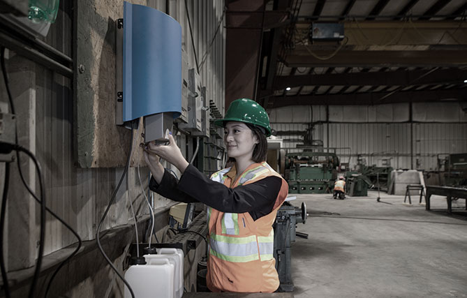 Bug Count ATP Online